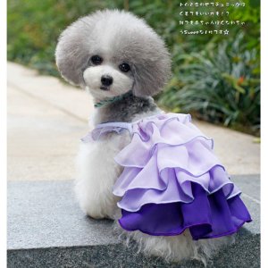 画像1: ペット　犬　ドッグウェア　【海外ブランド】　フリルグラデワンピ　
