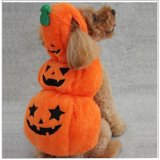 犬 ペット ドッグウェア イベント コスプレ ハロウィン 【海外ブランド】 かぼちゃトリオ